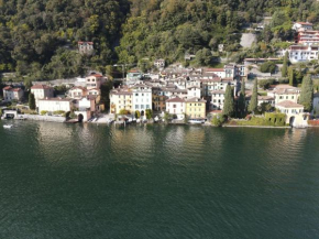 Lugano Lake, nido del cigno Oria
